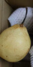 京喜加赵州皇冠梨河北皇冠梨产地直发 带箱4斤小花皮（单果200g+）（净重3.5斤） 实拍图
