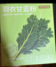 京东京造 羽衣甘蓝粉 青汁搭配燕麦片麸皮膳食纤维代餐90g（3g*30条） 实拍图