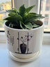 裕轩堂花盆陶瓷家用吊兰蝴蝶兰绿萝带托盘大号个性阳台简约多肉室内套装 7129444（两个17厘米） 中等 实拍图