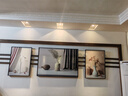 诗六艺家饰客厅装饰画北欧现代简约沙发背景墙挂画三联画大气轻奢壁画晶瓷画 瓶瓶安安（铝合金外框） 晶瓷画左右50*70+中间100*70亮面 实拍图