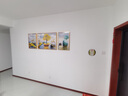 诗六艺家饰客厅装饰画北欧现代简约沙发背景墙挂画三联画大气轻奢壁画晶瓷画 富贵有余（铝合金外框） 晶瓷画左右40*60+中间80*60亮面 实拍图