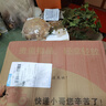 重瓣茉莉花盆栽浓香型南方四季开花带盆驱蚊绿植花卉室内阳台庭院 茉莉4~5棵带花苞发货【送郁金香高档陶瓷盆】 实拍图