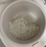 苏泊尔（SUPOR）1.6L迷你1-2人陶瓷油内胆多功能小电饭煲一键操作煮饭保温功能便携提手 1.6L 实拍图