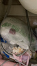 无印良品一次性床品四件套超柔抗静电床单被套枕套旅行酒店隔脏真空可裸睡 实拍图