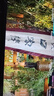 HUWYI平板电脑padPro2025新款ipad 4K超清大屏全面屏144Hz全网通5G高刷网课学习游戏娱乐办公 湖光青 17pro16G运行+256G内存+豪华礼品12英 实拍图