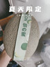 网纹瓜1粒装1.2kg 实拍图