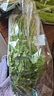 带根香菜100g 实拍图