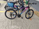 金武端自行车成人山地车公路赛车单车骑行变速超轻越野中学生初中青少年 顶配版-辐条轮-炫彩蓝 24寸24速 实拍图