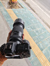 腾龙（Tamron）A065Z 70-180mm F/2.8 Di III VC VXD G2二代防抖大光圈长焦变焦全画幅微单镜头（尼康Z卡口） 实拍图