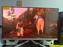 飞利浦EVNIA弈威 27英寸4K240Hz 硬件护眼QD-OLED 色准＜1 满血DP2.1光效音响 国补 电竞显示器27M2N8800 实拍图