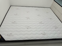 香榭柏兰 椰棕床垫棕垫硬棕榈床垫子 天然乳胶榻榻米床垫定做定制 10CM厚（防螨面料+5CM椰棕+2CM乳胶） 1.8米*2.2米 实拍图