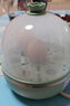 九阳（Joyoung）煮蛋器多功能智能蒸蛋器 一键启动14个蛋量 ZD14-GE140 实拍图