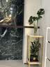 小匠材花架客厅落地式铁艺立柱植物摆放架花盆托层置物架阳台金白30*80 实拍图