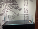 BESSN贝森金晶五线汽车级超白缸玻璃鱼缸客厅裸缸家用水草溪流缸 100*40*30cm10mm厚金晶五线超白电梯上楼 实拍图