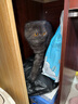 陪伴岁月猫罐头375g猫罐头猫咪湿粮营养宠物零食大容量 混合口味12罐 实拍图