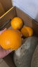 京鲜生 南非进口橙子8斤装 单果约180g起 新鲜水果礼盒 实拍图