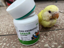 宠易生鸟用益生菌鹦鹉玄凤鸟专用益生菌活菌粉肠炎腹泻拉稀不消化60克 实拍图