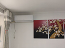 格力（GREE）1.5匹天仪 新1级能效变频 壁挂式卧室省电空调挂机KFR-35GW/(35504)FNhAa-B1 家电国家补贴 实拍图