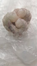 GUO LIAN国联  黑虎虾仁 去冰净重200g独立包装 13-23只 京东虾仁品质保障 实拍图