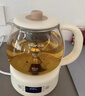 小熊（Bear）煮茶器煮茶壶 养生壶烹煮一体茶壶迷你蒸茶器 316L喷淋式不锈钢烧水壶黑茶茶具1升ZCQ-F10N7 实拍图