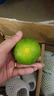 柏馋青皮橘子 云南蜜桔青桔子酸橘子新鲜应季孕妇水果 5斤 净重4.5斤实惠装 实拍图