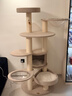 兽牌森林猫爬架大型猫树猫窝一体豪华剑麻猫架太空舱缅因大猫四季适用 森林【双太空舱款】 实拍图