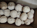 【限量秒杀】新疆薄皮生核桃5斤原味坚果孕妇零食核桃薄皮鲜核桃 【1斤-人工精选果】新疆薄皮核桃 薄皮核桃-有的需借助核桃夹 实拍图