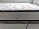 华莱德床垫席梦思弹簧床垫1.8x2米乳胶椰棕垫加厚单人双人租房经济型款 羊绒+独立九区圆簧【20公分】 900mm *1900mm 实拍图
