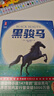 黑骏马（全新未删节插图精装版《黑骏马》！豆瓣2023年度译者李晖口碑译本！新增解读+98幅彩插！读经典名著，认准作家榜！）省钱卡  实拍图