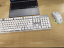 前行者V3104键无线键盘鼠标套装蓝牙双模静音机械手感高颜值轻薄办公薄膜键盘电脑笔记本iPad通用 奶白色 实拍图