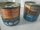 力狼猫罐头补水汤罐猫咪汤包幼猫成猫零食宠物食品猫湿粮 【1罐尝鲜】鸡肉味补水汤罐85g 实拍图