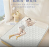 零树天然环保椰棕床垫家用硬棕垫可折叠加厚实测5cm 1m*2m D1A-01 实拍图
