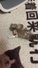 贵为（GiGwi）小鸟发声逗猫玩具小猫咪幼猫自嗨解闷神器磨牙耐咬宠物玩具逗猫棒 实拍图