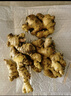 农多鲜 云南小黄姜 新鲜蔬菜现挖现发调味料火锅食材 产地直供 净重小黄姜5斤 云南小黄姜 实拍图
