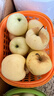 甜醉了 烟台苹果黄元帅粉面苹果黄金帅黄香蕉山东新鲜水果当季整箱鲜果 净重8.5斤75mm 实拍图