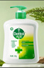 滴露（Dettol）洗手液松木500g瓶 健康抑菌消毒非补充装 儿童家庭用清爽去油 实拍图