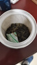 贡苑 平利绞股蓝135g中药材七叶胶降股蓝祛深山嫩叶中老年压养生浊茶 实拍图