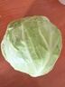圆白菜约800g 实拍图