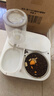 KimPets猫碗狗碗猫食盆猫咪猫粮自动喂食器饮水一体猫盆陶瓷宠物喝水双碗 经典款灰-不锈钢碗【多重过滤】 实拍图