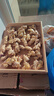 农多鲜 云南小黄姜 新鲜蔬菜现挖现发调味料火锅食材 产地直供 小黄姜带箱1斤【净重350g】 云南小黄姜 实拍图
