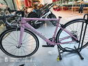 坎普（CAMP）RADON 公路车铝合金顺泰18变速单车圈刹运动赛车碳纤维前叉自行车 粉色 18速 500码 实拍图