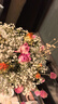 爱满（AIMAN） 真花玫瑰满天星向日葵干花花束网红摆件家居装饰摄影道具送女友 千日粉苏醒（不带瓶） 干树枝 实拍图