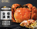 【活蟹】今锦上大闸蟹鲜活螃蟹礼盒全母2.3-2.6两8只装精品礼盒礼品 去绳足重 实拍图