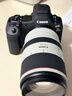 佳能（Canon）RF70-200mm F2.8 L IS USM 远摄镜头 微单镜头 大三元 “小白IS” 实拍图