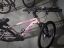飞鸽（FLYING PIGEON）山地自行车成人男女变速山地车青少年中小学生车越野户外骑行单车 【高碳钢】G8002代-辐条轮-粉色 26寸轮组（适合160-180cm） 21速入门版 实拍图