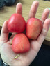 酸甜多汁东北鸡心果苹果生鲜礼盒丑苹果新鲜当季生鲜水果整箱批发 带箱3斤净果2.7斤 实拍图
