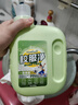 南堡（Numbudh）校服净800g 洗衣爆炸盐彩漂白剂白衣服去黄去顽固油污渍洗衣液 实拍图