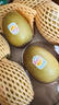 佳沛（zespri）新西兰 阳光金奇异果12粒礼盒特大果单果约122-146g 猕猴桃 水果 实拍图