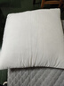 艾薇高弹沙发抱枕芯 方枕芯汽车靠垫芯腰靠芯床头靠枕芯50*50cm单只装 实拍图