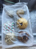 宫门口馒头美食盛宴十大经典汇聚面食精华一次尝遍【年货】10个1200克 【尝鲜】十大经典面食（共10个） 每款1个 实拍图